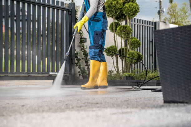 Best Sidewalk and Walkway Cleaning  in Le Sueur, MN